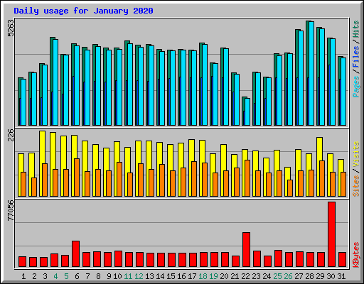 Daily usage for January 2020