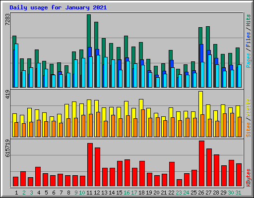 Daily usage for January 2021