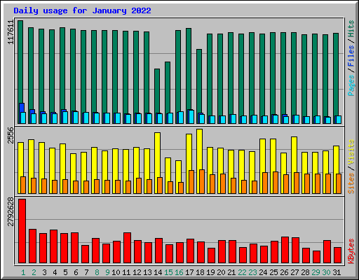 Daily usage for January 2022