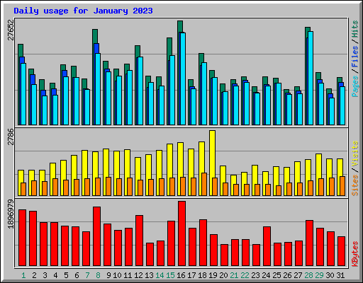 Daily usage for January 2023