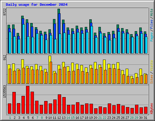 Daily usage for December 2024