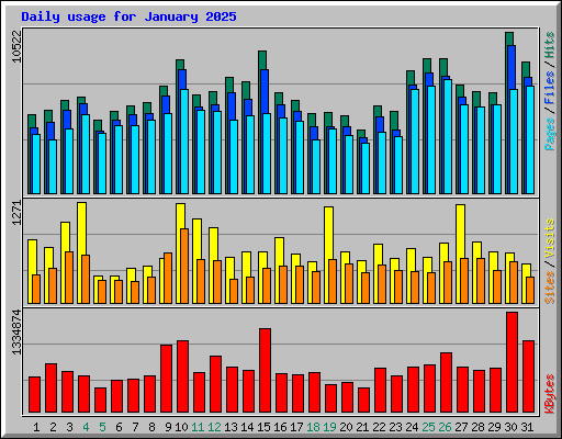 Daily usage for January 2025