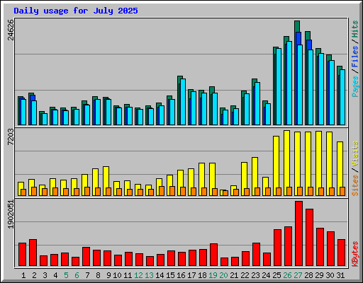 Daily usage for July 2025