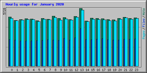 Hourly usage for January 2020