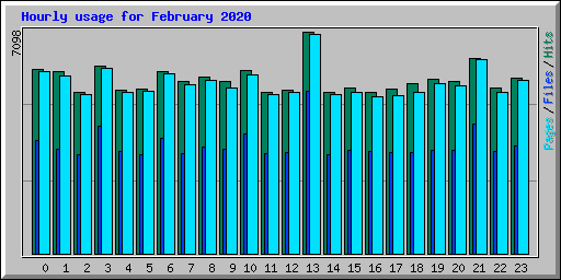 Hourly usage for February 2020