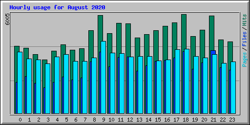 Hourly usage for August 2020
