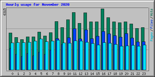 Hourly usage for November 2020