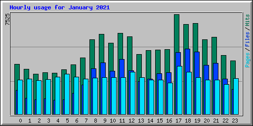 Hourly usage for January 2021