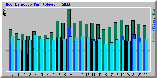 Hourly usage for February 2021