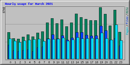 Hourly usage for March 2021
