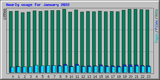 Hourly usage for January 2022