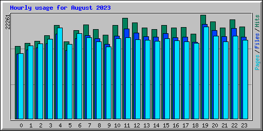 Hourly usage for August 2023