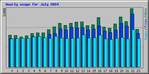Hourly usage for July 2024