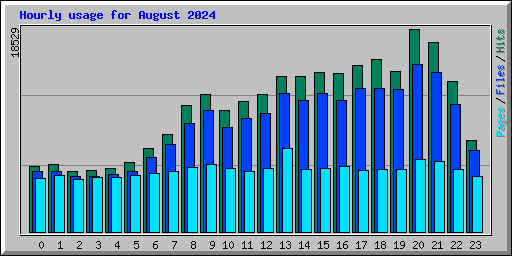 Hourly usage for August 2024