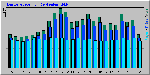 Hourly usage for September 2024