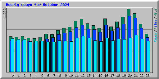 Hourly usage for October 2024