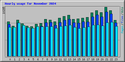 Hourly usage for November 2024