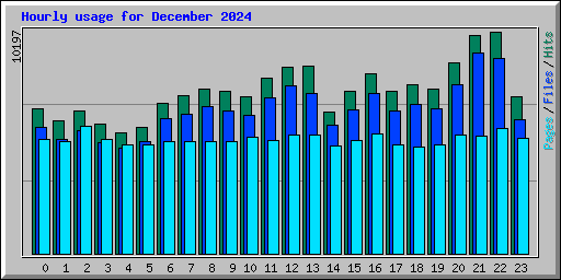 Hourly usage for December 2024