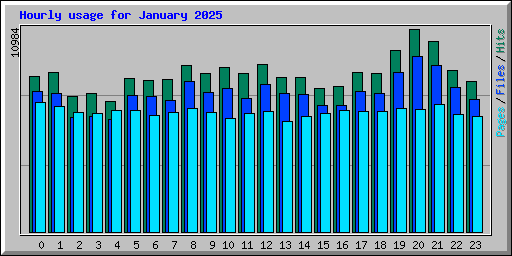 Hourly usage for January 2025