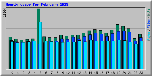 Hourly usage for February 2025