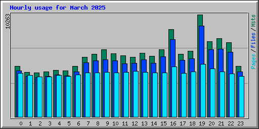 Hourly usage for March 2025