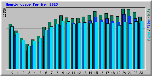 Hourly usage for May 2025
