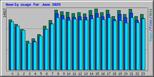 Hourly usage for June 2025