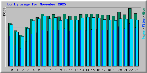 Hourly usage for November 2025
