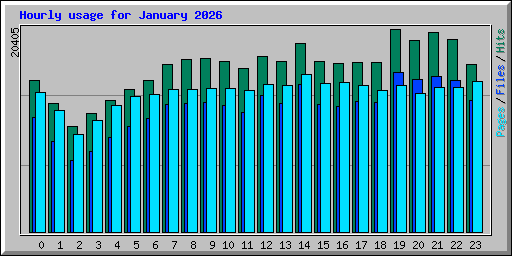 Hourly usage for January 2026